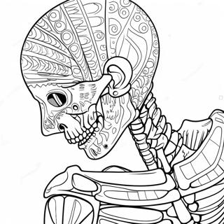 Anatomie En Fysiologie Kleurplaten