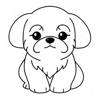 Shih Tzu Puppy Kleurplaat 19222-15181