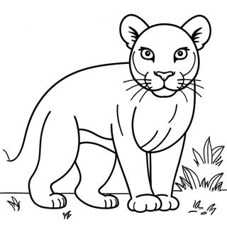 Puma Kleurplaten