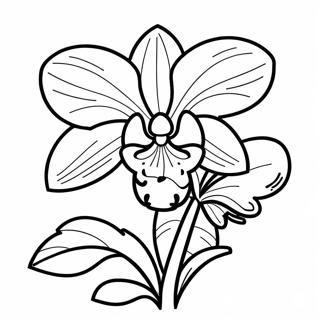 Orchidee Kleurplaten