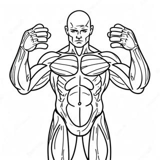 Kleurplaat Van De Menselijke Spieren Anatomie 31183-24637