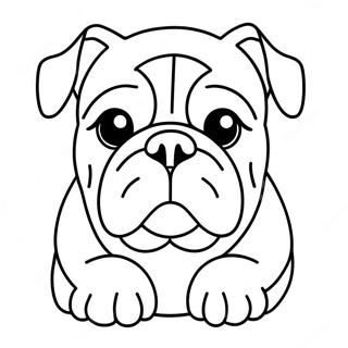 Bulldog Kleurplaten