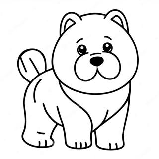 Chow Chow Kleurplaten