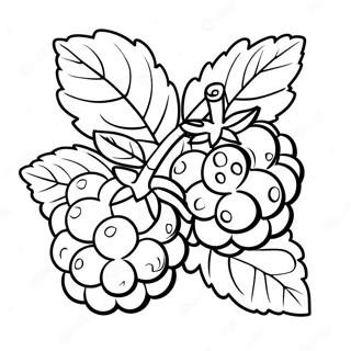 Framboos Fruit Kleurplaat 49473-39121