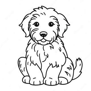 Aussiedoodle Kleurplaten