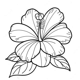 Hibiscus Kleurplaten