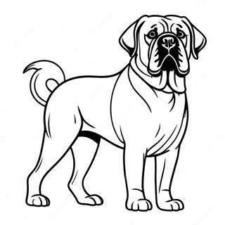 Engelse Mastiff Trots Staand Kleurplaat 74104-58681