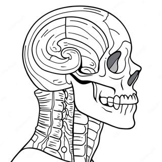 Anatomie Kleurplaten