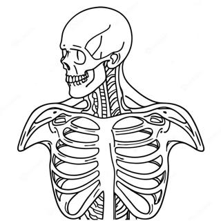 Anatomie Kleurplaat 980-795